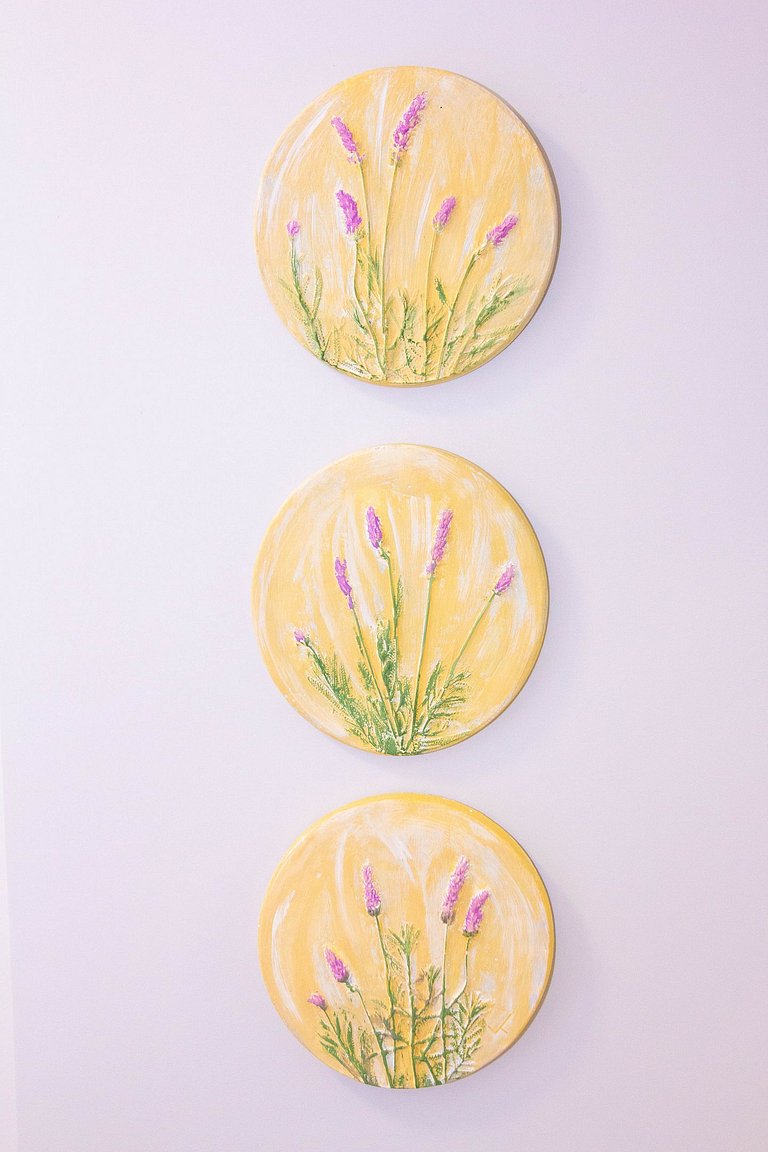 Suíte Lavanda Completa no Jardim América Goiânia